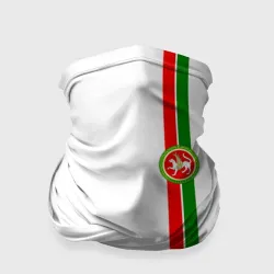 Бандана-труба 3D Республика Татарстан