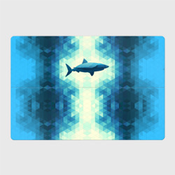 Магнитный плакат 3Х2 Акула
