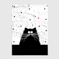 Постер Котик