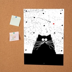 Постер Котик - фото 2