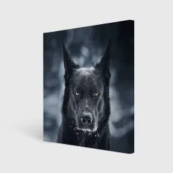 Холст квадратный Dark Dog
