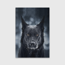 Обложка для паспорта матовая кожа Dark Dog