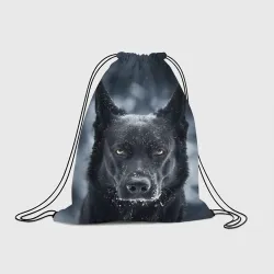 Рюкзак-мешок 3D Dark Dog