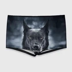 Мужские купальные плавки 3D Dark Dog