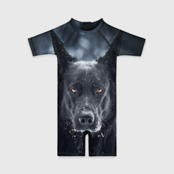 Детский купальный костюм 3D Dark Dog