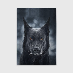 Обложка для автодокументов Dark Dog