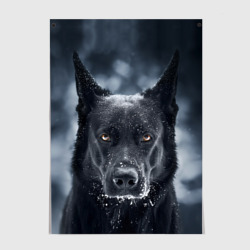 Постер Dark Dog