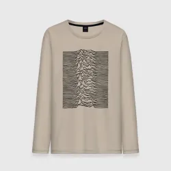 Мужской лонгслив хлопок Unknown Pleasures