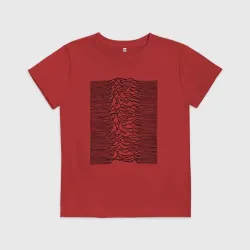 Детская футболка хлопок Unknown Pleasures