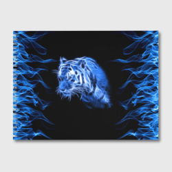 Альбом для рисования Синий тигр