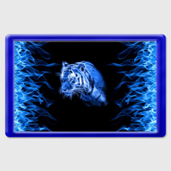 Магнит 45*70 Синий тигр