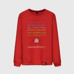 Мужской свитшот хлопок Наука рулит