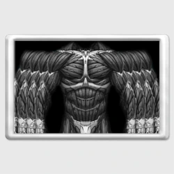 Магнит 45*70 Нанокостюм Crysis