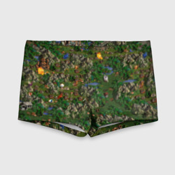 Детские купальные плавки 3D Heroes of might and magic