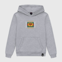 Мужская толстовка хлопок Gussi