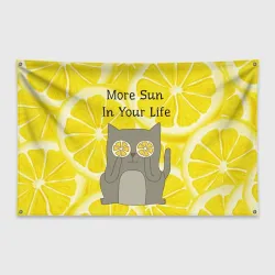 Флаг-баннер More Sun In Your Life