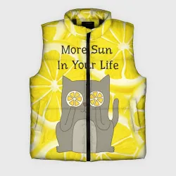 Мужской жилет утепленный 3D More Sun In Your Life