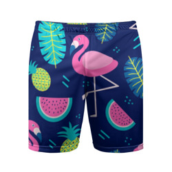Мужские шорты спортивные Фламинго
