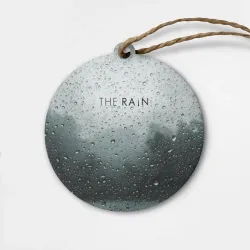 Деревянная игрушка круг The Rain