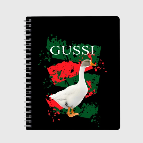 Тетрадь Gussi