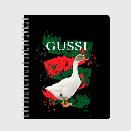 Тетрадь Gussi