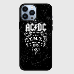 Чехол для iPhone 13 Pro Max AC/DC run for your life
