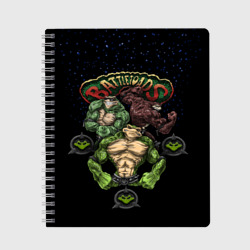 Тетрадь Battletoads Боевые Жабы