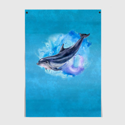 Постер Дельфин