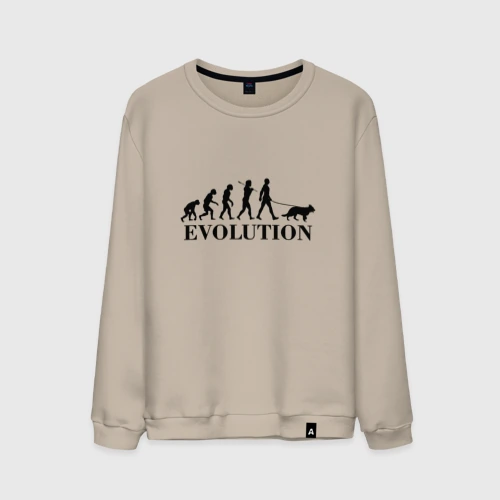 Мужской свитшот хлопок Evolution