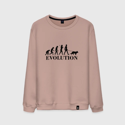 Мужской свитшот хлопок Evolution