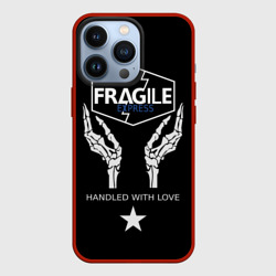 Чехол для iPhone 13 Pro Fragile express Death Stranding DS