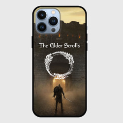 Чехол для iPhone 13 Pro Max The Elder Scrolls skyrim TES 5