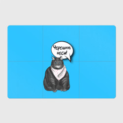 Магнитный плакат 3Х2 Толстый кот