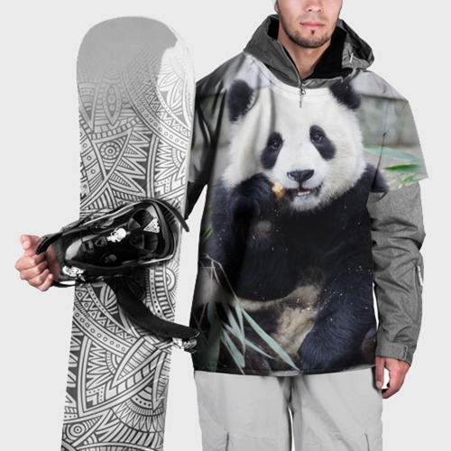 Накидка на куртку 3D Большая панда, цвет 3D печать