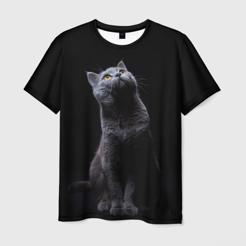 Мужская футболка 3D Милый котик, цвет 3D печать