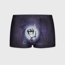 Мужские трусы 3D Don't Starve 5