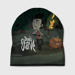 Шапка 3D Don`t starve
