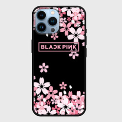 Чехол для iPhone 14 Pro Max Blackpink
