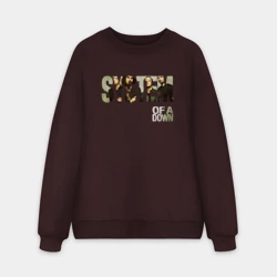 Мужской свитшот oversize без начеса хлопок System of a Down