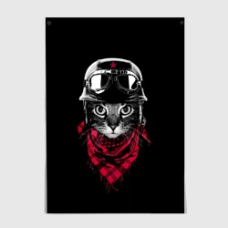 Постер Кот Пилот