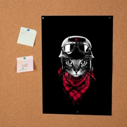 Постер Кот Пилот - фото 2