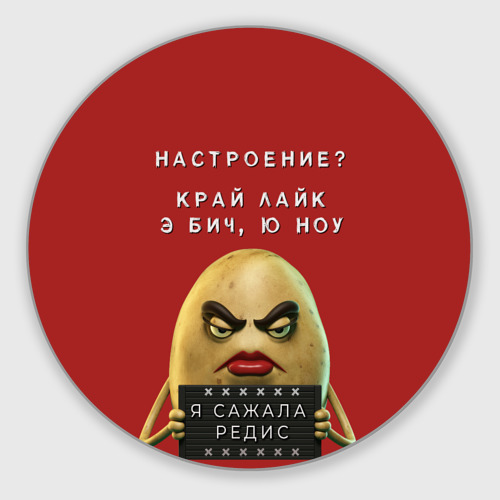 Я сажала редис фото 0