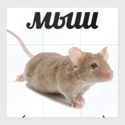 Мыш кродеться