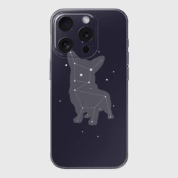 Чехол для iPhone 15 Pro силиконовый с защитой камеры Корги