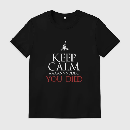 Мужская футболка хлопок Aaaannndddd you died meme