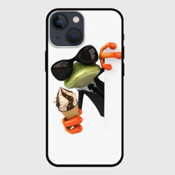 Чехол для iPhone 13 mini Агент легушач agent frog