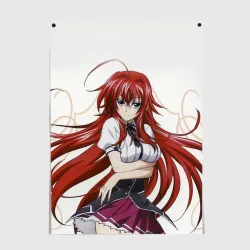 Постер High school DxD Старшая школа DxD