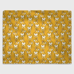 Корги Паттерн