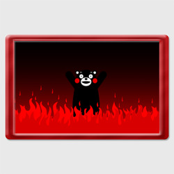 Магнит 45*70 Kumamon горит