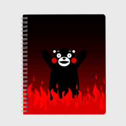 Тетрадь Kumamon горит